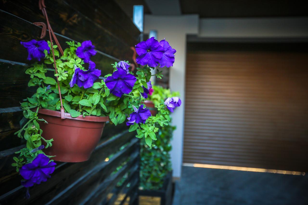 Armada Villa Hotel Zabrat Buitenkant foto